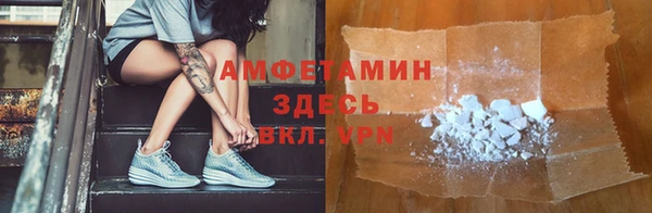 прущие грибы Ладушкин