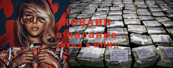 шишки Куйбышев
