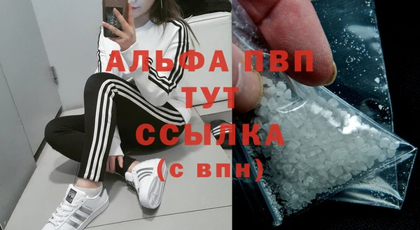 прущие грибы Ладушкин