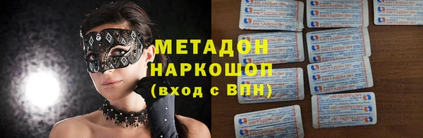 прущие грибы Ладушкин