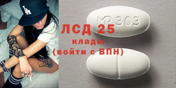 прущие грибы Ладушкин
